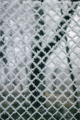 texture of frost on the fence