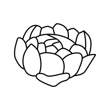 recommend clip art: peony blossom spring line icon vector. peony blossom spring sign. isolated contour symbol black illustration