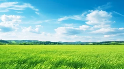 Fotobehang Green grass field landscape  and blue sky background © Inlovehem