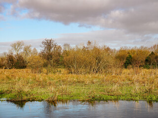 The Water Meadows