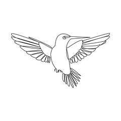 Bird continues single line art and outline vector illustration on white background and minimal here
