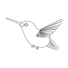 Bird continues single line art and outline vector illustration on white background and minimal here
