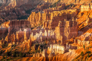 The amphitheater in the Bryce Canyon Nationa Park at sunrise