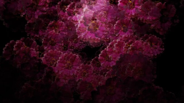 movement through rotating flowers on a black background. abstract animation. 3d render