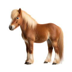 Obraz premium a Pony horse with various markings, 3/4 view, full body, PNG, in a Riding/pet-themed, isolated, and transparent photorealistic illustration. Generative ai