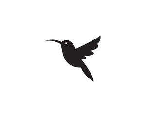 Humming bird icon vector symbol design illustration.