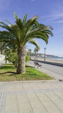 Vacationers on the beach of Spain among palm trees. Cyclists ride along the beach along the sea. Surfers on the waves in December. Grao, Castellon on the coast of Spain.