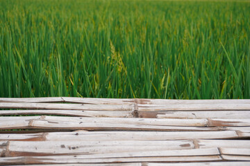A bamboo table with a blurry rice field background
