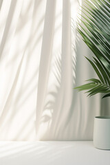 Minimalist white background with tropical palm leaves and shadow from striped window curtains on the wall for product photography with minimalist design and tropical mood.