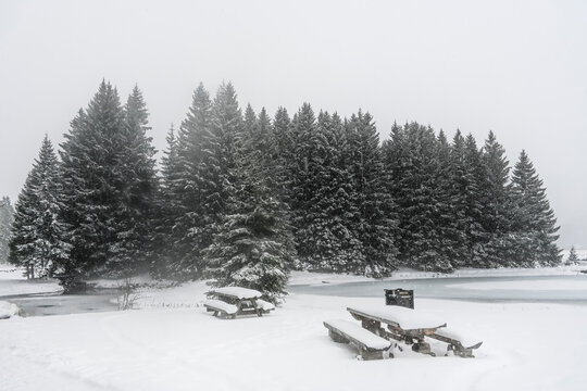 Lenzerheide, Valbella, Heidsee, Bergsee, Uferweg, Wanderweg, Winterwanderung, Holzbank, Winterlandschaft, Seeufer, Alpen, Wald, Tannen, Eis, Schnee, Schneefall, Winter, Graub&uuml;nden, Schweiz
