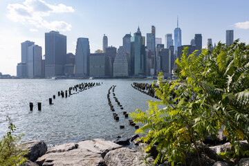 Lower Manhattan Skyline seen from the Brooklyn Heights Promenade with Green Plants during Summer - obrazy, fototapety, plakaty