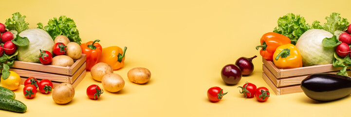 A variety of healthy fresh vegetables on a yellow background. Eggplant, tomatoes, cucumbers, cabbage and radishes on a yellow background.
