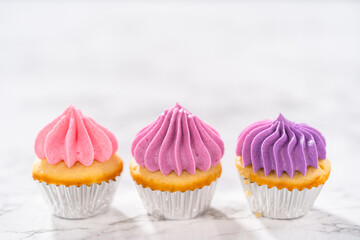 Mini Vanilla Cupcakes with Pink Buttercream Frosting
