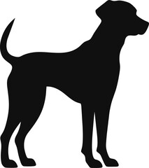 Furious Pet Dog Silhouette: A fierce and dynamic canine outline, capturing the intensity and determination of a furious four-legged companion