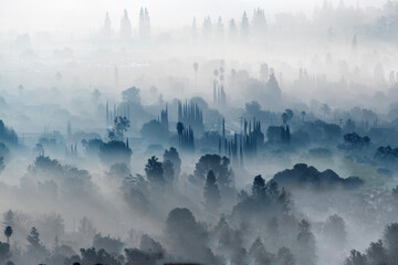 Suburban morning fog in the West San Fernando Valley area of Los Angeles, California.