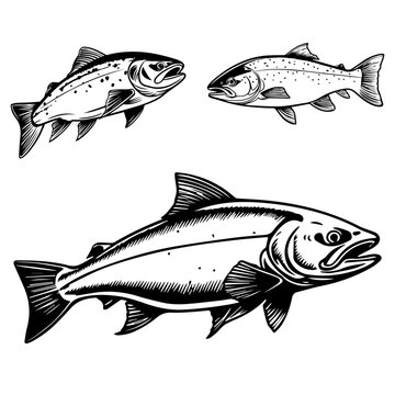 Salmon fish silhouette vector 