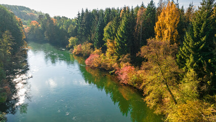 Autumn colorful forest and river Brda at sunrise in Poland. - obrazy, fototapety, plakaty