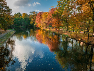 Aerial view to river and multicolored autumn forest in Bydgoszcz. - obrazy, fototapety, plakaty
