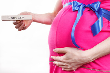Pregnant woman in pink dress with blue ribbon showing word january. Expecting for newborn and expansion of family