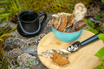 Chaga and Turkey’s tail, Trametes versicolor mushroom. Mushroom coffee chaga superfood. Dried...