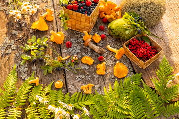 background of forest wild mushrooms berries and plants on a rough wooden background. gifts of the...