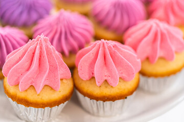 Mini Vanilla Cupcakes with Pink Buttercream Frosting
