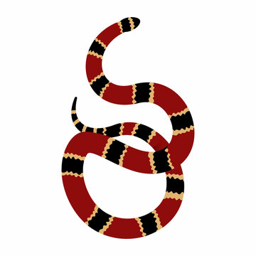 Eastern Coral Snake (Micrurus fulvius) coralillo flat illustration. Red black and yellow venomous reptile.