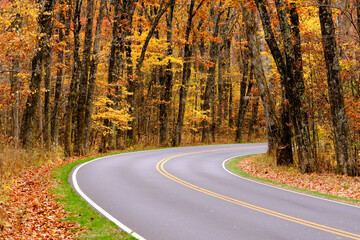 Fototapeta premium Skyline Drive Curvy Road with Fall Foliage in Shenandoah National Park