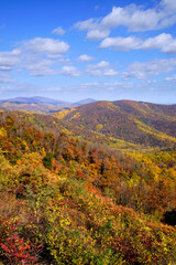Fototapeta na wymiar Fall View of the Shenandoah Valley from Skyline Drive with Cloudy Sky