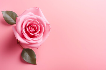 Elegant Valentine's Pink Floral Composition