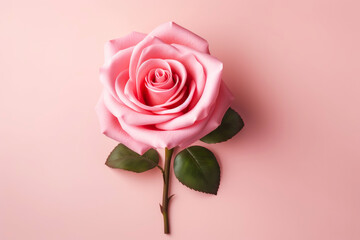 Love Blossoms: Pink Rose with Heart Symbol