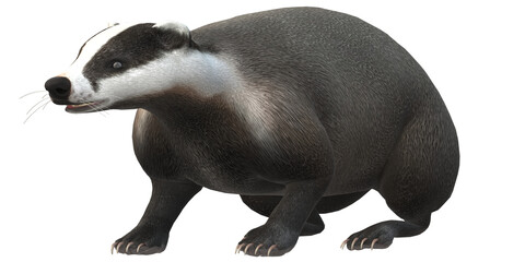 Badger isolated on a Transparent Background