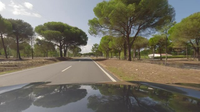 First person view, FPV, from dashcam of car driving along the Alentejo Coast in Portugal, passing cork oak trees and sand dunes. Road trip video in POV, with blue sky and clouds on an empty road