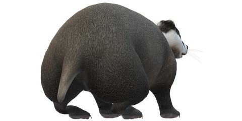 Badger isolated on a Transparent Background
