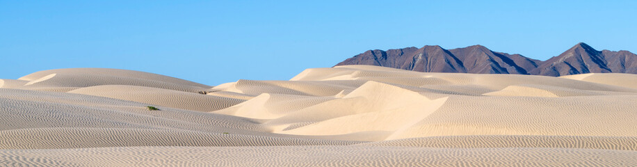 Magdalena Island Dunes., in Mexican state of Baja California Sur