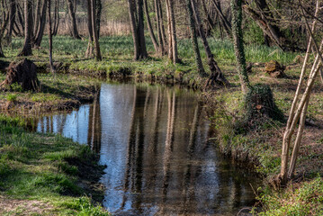 Bobri, Dolnja Bistrica is a meander from river Mura