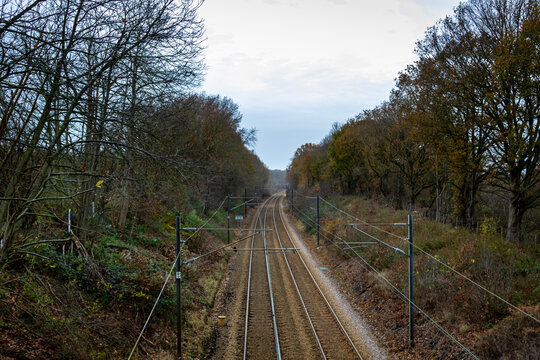 railway in autumn going through Wrabness woods, Image shows a twin trainline passing through the woods with trees either side 