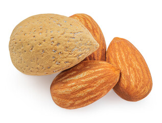 Salty Almonds isolated on white background.