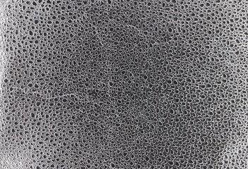 Silver background, water drops on foil, top view