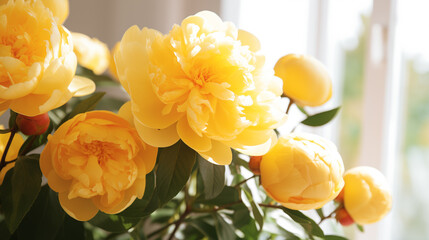 Bouquet of stylish peonies close-up. Yellow peony flowers. Close-up of flower petals. Floral greeting card or wallpaper. Delicate abstract floral pastel background. Greeting card. Generated AI