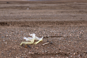 Rotten nylon plastic bag is decomposing on beach. Non-biodegradable garbage on ground, earth pollution, environmental issues concept.