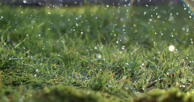 Extreme slow motion of rain water drops gently watering grass in nature and refreshes natural environment. Green planet and fresh food from the earth.