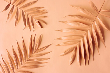Arrangement of palm leaves. Pantone color of the year 2024 Peach Fuzz - 691627928