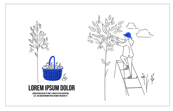 hand drawn vector illustration of a person cherry picking_ optimistic, choice, selection, cherry pick, prime member, benefit, wellness, support _ heartwarming editorial illustration 