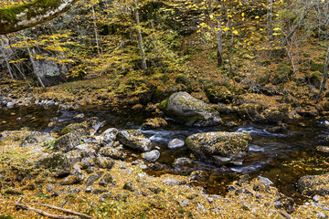 Struilitsa Ecotrail at Devin river gorge, Bulgaria