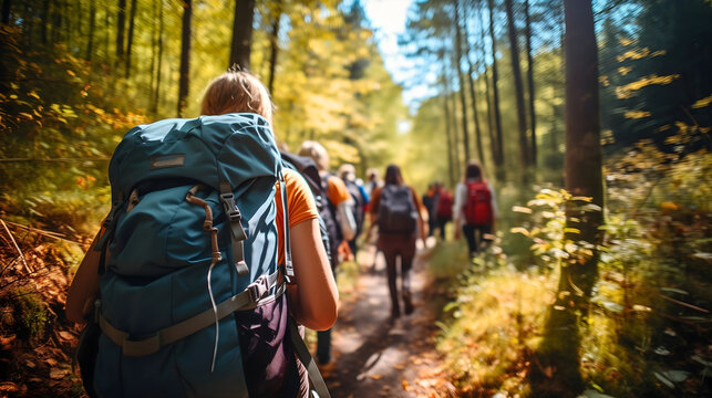 Rearview photography of a group of people wearing hiking clothes and backpacks full of camping and mountaineering equipment, walking in sunny nature forest paths, exploring the wilderness adventures