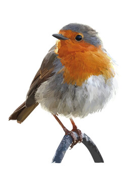 Robin Vector