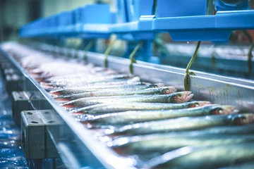 Deurstickers Raw sea fish on a factory conveyor. Production of canned fish. Modern food industry. Fish processing plant. © BlazingDesigns