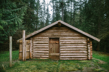 Rustic log cabin in verdant forest on Vancouver Island