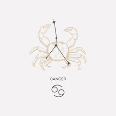 Cancer constellation vector illustration. Cancer constellation astrological drawing